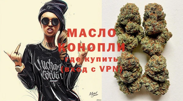 гидра Михайловка