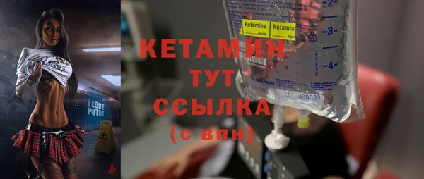 гидра Михайловка