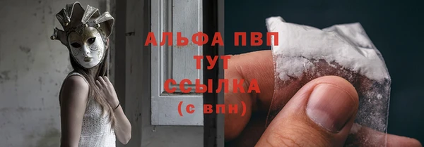 гидра Михайловка