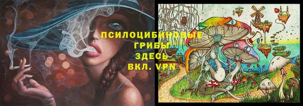 гидра Михайловка