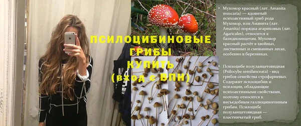 мяу мяу мука Строитель