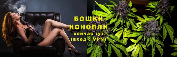 СК Михайлов