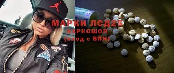 СК Михайлов