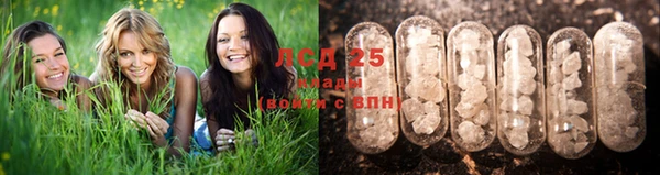 гидра Михайловка