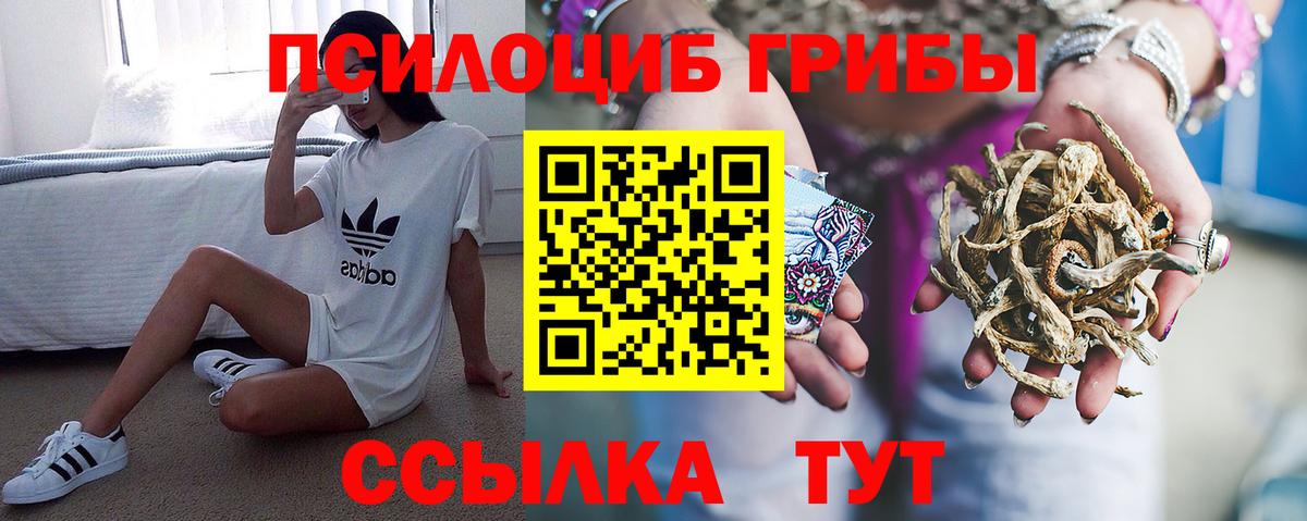 Тюмень  Псилоцибиновые грибы MAGIC MUSHROOMS  Вход с VPN  Галлюциногенные грибы GOLDEN TEACHER 